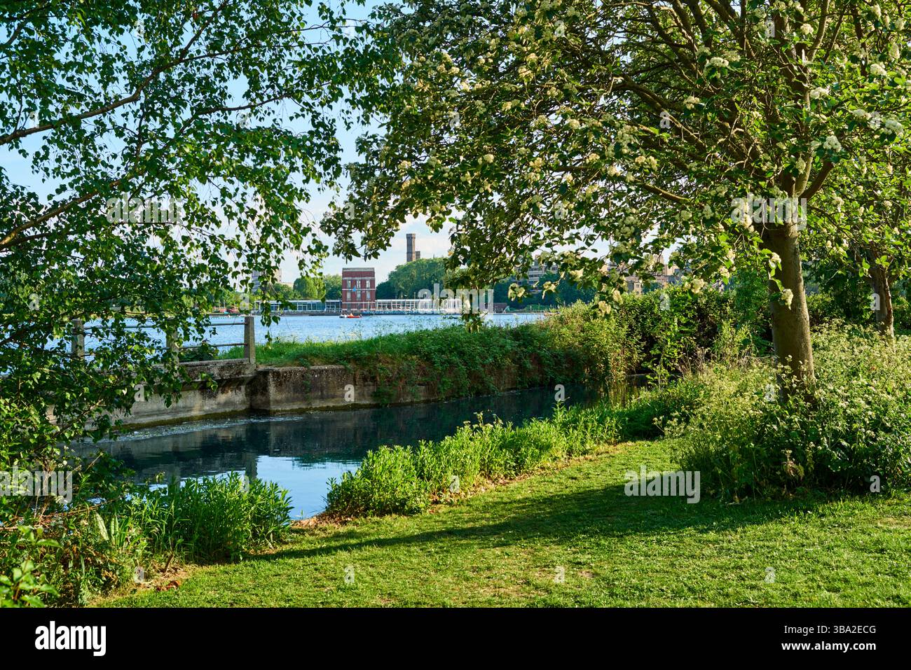 Der New River und das West Reservoir in der Nähe von Stoke Newington, London, Großbritannien, im späten Frühling Stockfoto