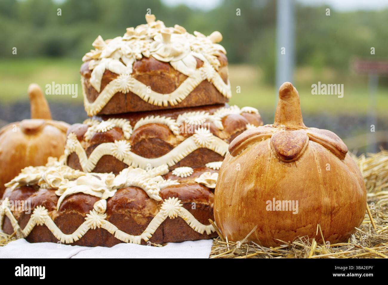 Herbstmesse. Großer ethnischer Brotlaib- und Kürbisform-Hefekuchen Stockfoto