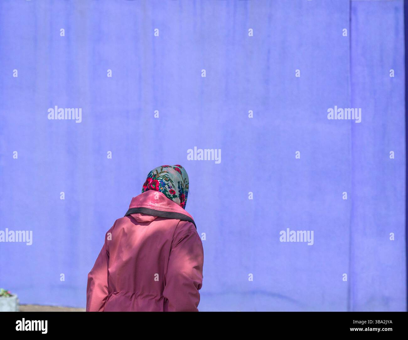 Kiew, Ukraine - 25. April 2025: Eine ältere ukrainische Frau mit Kopftuch und rosafarbenem Mantel geht vor einer großen violetten Wand und zeigt einen Einblick in das tägliche Leben in der Ukraine Stockfoto