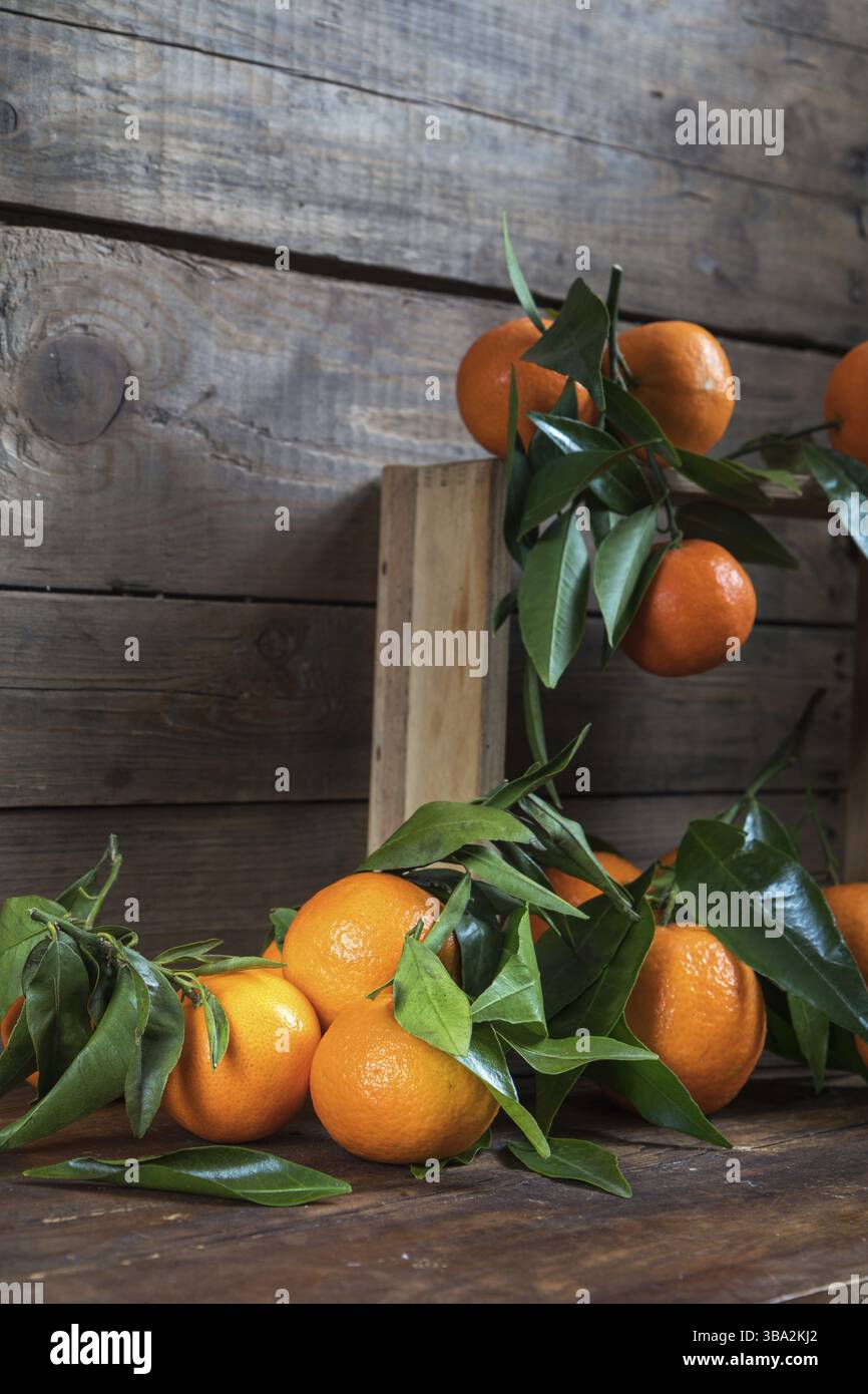 Mandarinen mit Blättern auf Holzkiste über altem Holztisch. Dunkler, rustikaler Stil Stockfoto