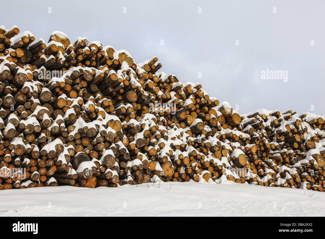 Holzscheite mit Schnee, die neben der Straße gestapelt sind Stockfoto