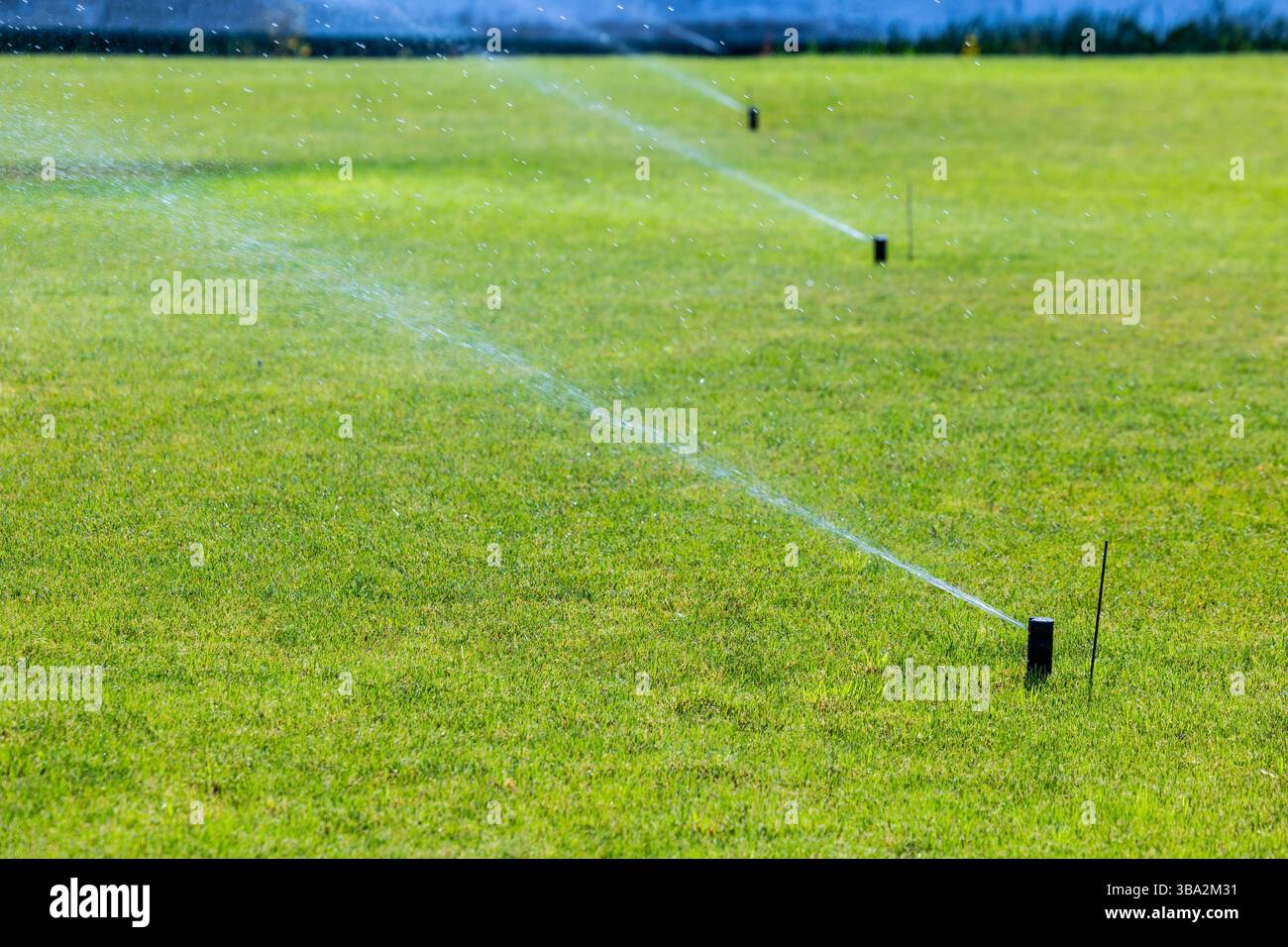 Ein grasbewachsenes Feld mit mehreren Sprinklern, die aktiv Wasser sprühen. Die Sprinkler werden in Intervallen über dem Feld positioniert, und das Wasser ist ableiter Stockfoto