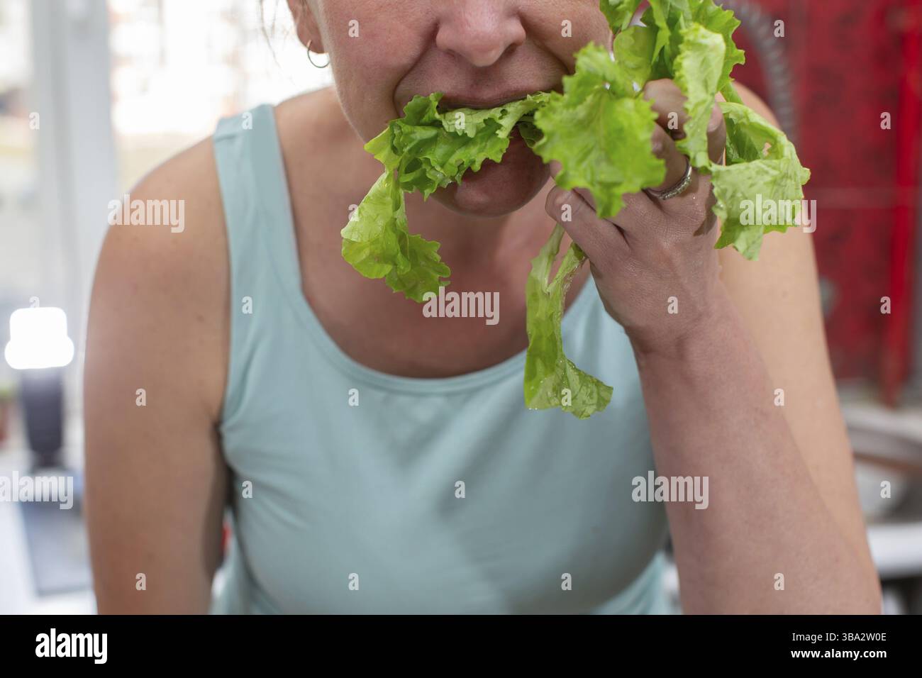 Die Haende einer Frau halten einen gruenen Salat. Essen Sie etwas Stockfoto