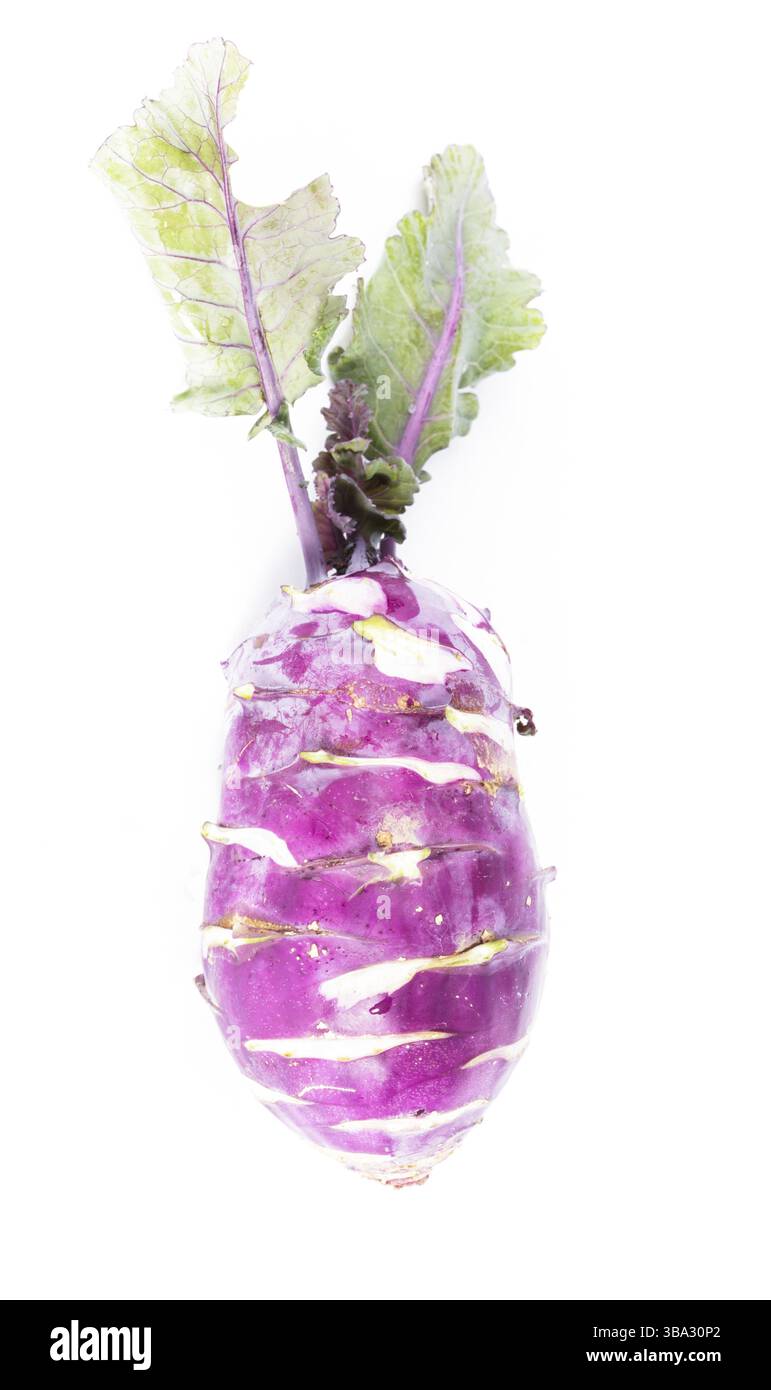 Kohlrabi-Stamm isoliert auf weißem Hintergrund Stockfoto