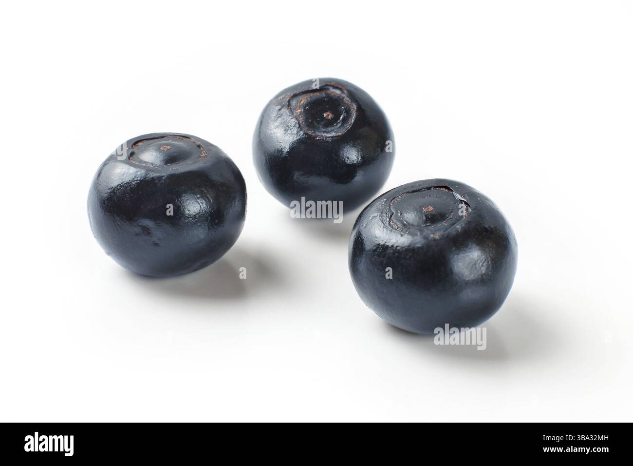 Drei glänzende dunkelblaue Blaubeeren auf weißem Hintergrund Stockfoto