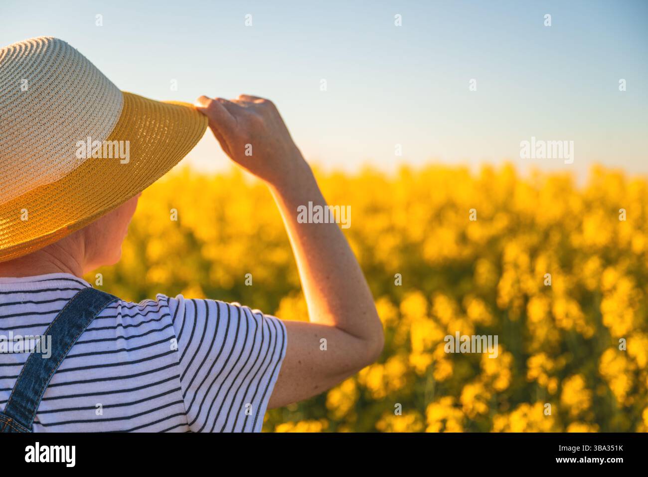 Rückansicht einer Landwirtin mit Strohhut, die auf blühendem Rapsfeld steht und in die Entfernung am Horizont blickt, selektiver Fokus Stockfoto