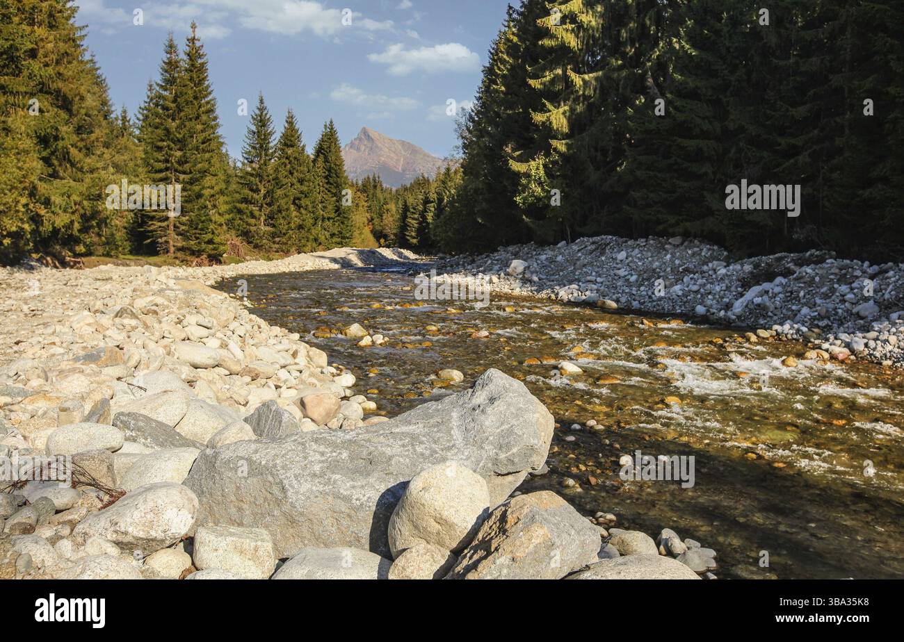Wald Fluss Bela mit kleinen runden Steinen und Nadelbäumen auf beiden Seiten, die Sonne scheint auf den Gipfel Krivan - slowakisches Symbol - in der Ferne, Liptovsky Stockfoto