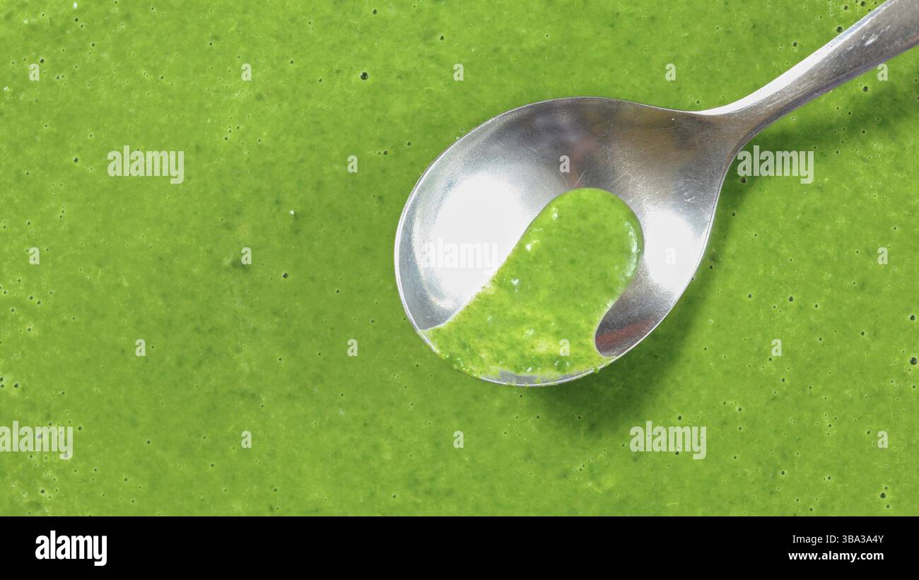 Top-Down-Ansicht, Detail auf Löffel in grünem Spinat Suppe Smoothie, Konzept für gesundes Essen, Kopierraum für Text links, Liptovsky Hradok, Slowakei, Europa Stockfoto
