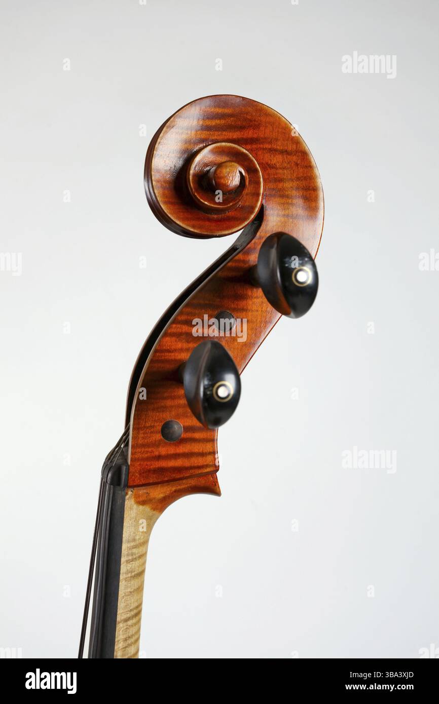 Seitenansicht des alten Kontrabass Kopf auf weißem Hintergrund Stockfoto