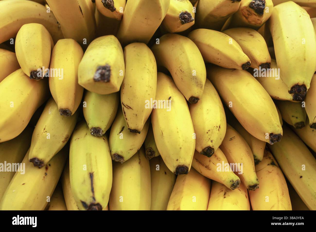 Bananen auf dem Lebensmittelmarkt, Kyrenia, Zypern, Europa Stockfoto