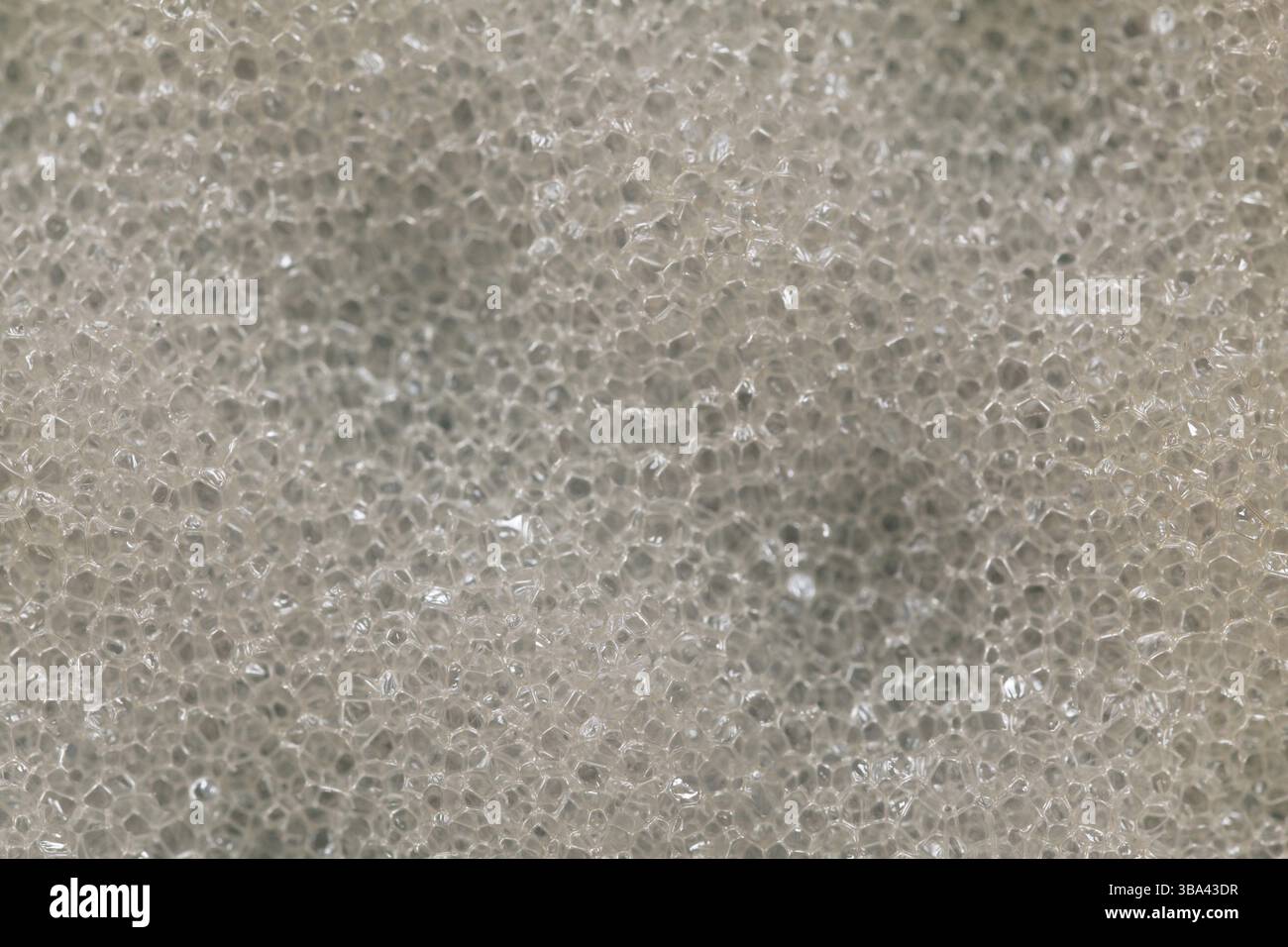 Nahaufnahme der Badezimmerschwamm-Textur, Liptovsky Hradok, Slowakei, Europa Stockfoto