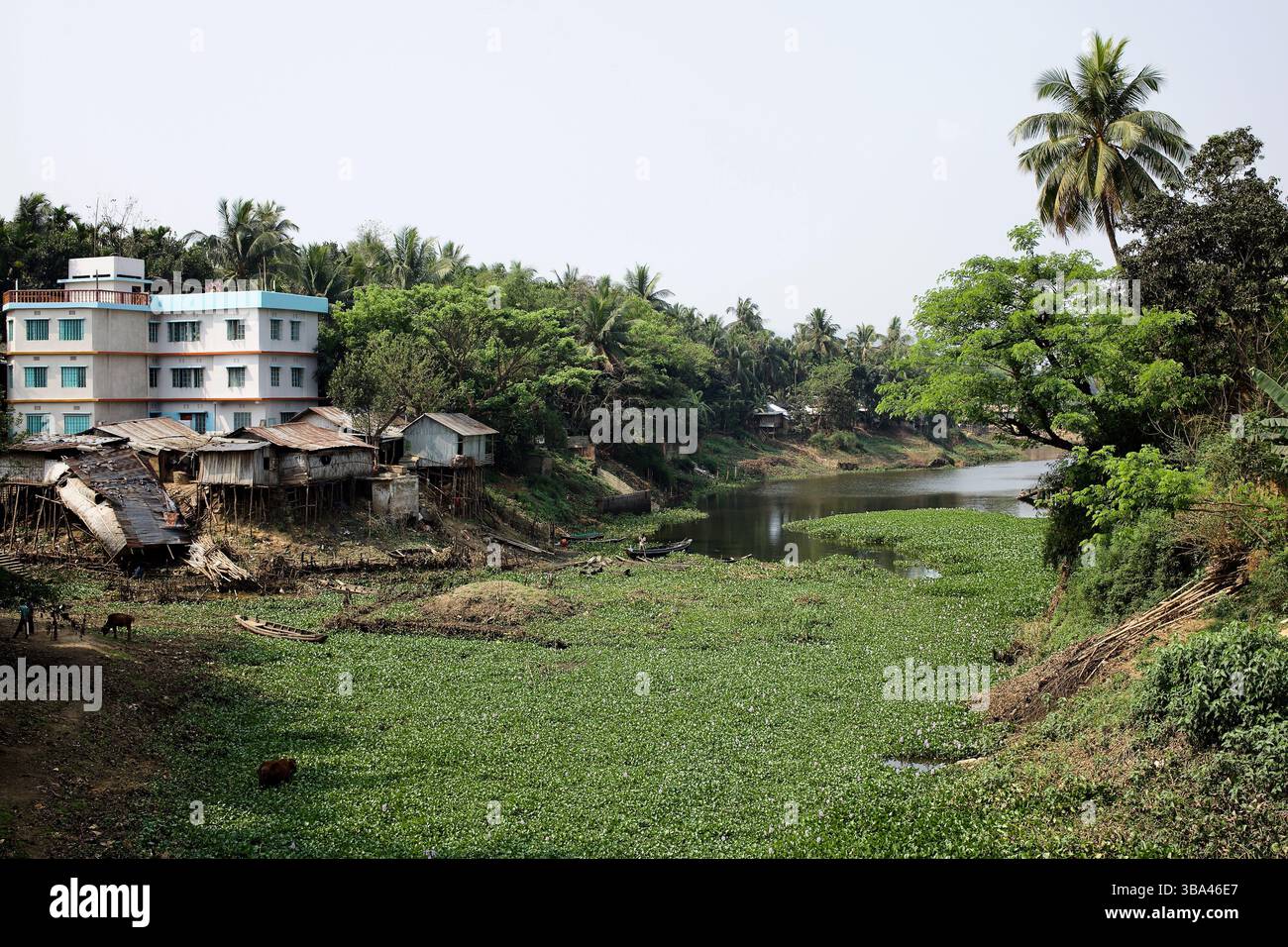 Stelzenhäuser stehen vor einem neuen Betongebäude am verwachsenen Kaptai-Seeufer in Rangamati, das starke Kontraste in der Entwicklung und Verwundbarkeit offenbart. Stockfoto