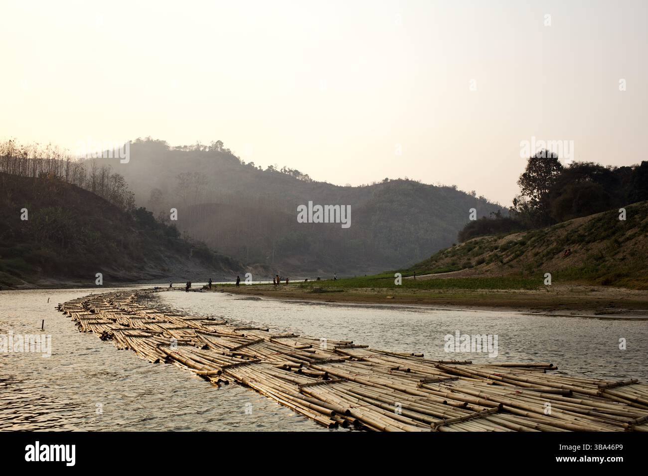 Ein Bambusfloß fliegt den Sangu River in der Nähe von Bandarban, Bangladesch, und transportiert den geernteten Bambus in Richtung Küstenaufbereitung hu Stockfoto