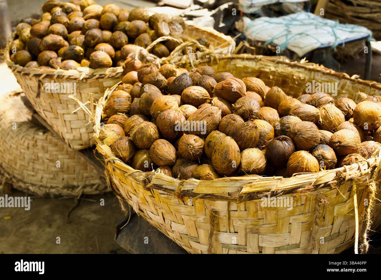 Getrocknete Areca-Nüsse in gewebten Körben zum Verkauf auf einem ländlichen Markt in Bandarban, Chittagong District, Chittagong Hill Tracts, Südosten Bangladeschs. Stockfoto