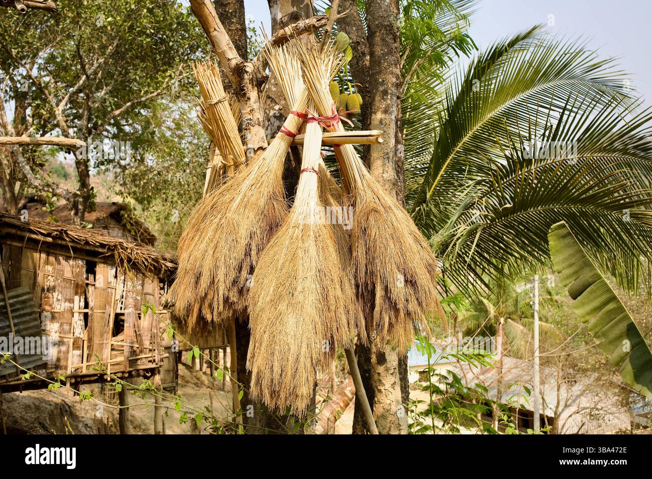 Bündel traditioneller Grasbesen, die zum Trocknen in Laimi Para, Bandarban, hängen, einem gemeinsamen Haushaltshandwerk in indigenen Berggemeinden. Stockfoto