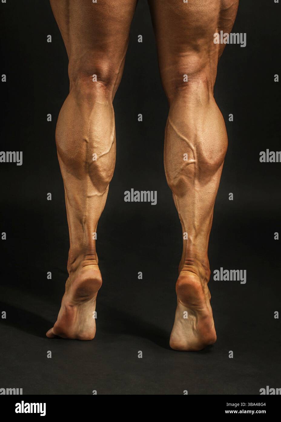 Details zu männlichen Bodybuilder-Waden-Muskeln, aufgenommen auf schwarzem Hintergrund Stockfoto