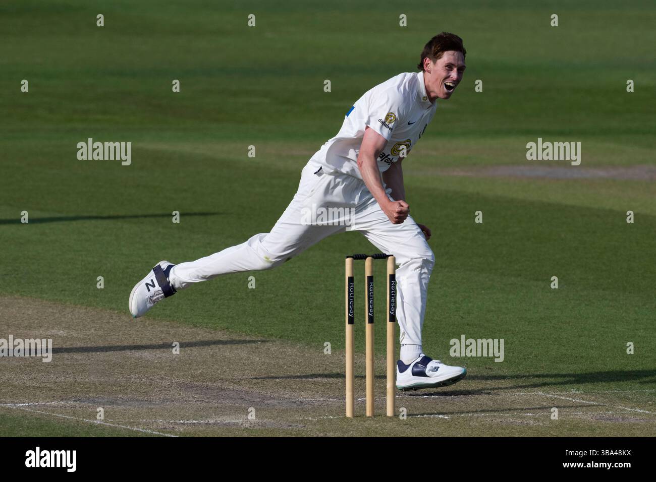 Sussex V Worcestershire - Rothesay County Championship HOVE, ENGLAND - 11. MAI: Bowler James Hayes aus Sussex feiert sein erstes, 1. Klasse Wicket Stockfoto
