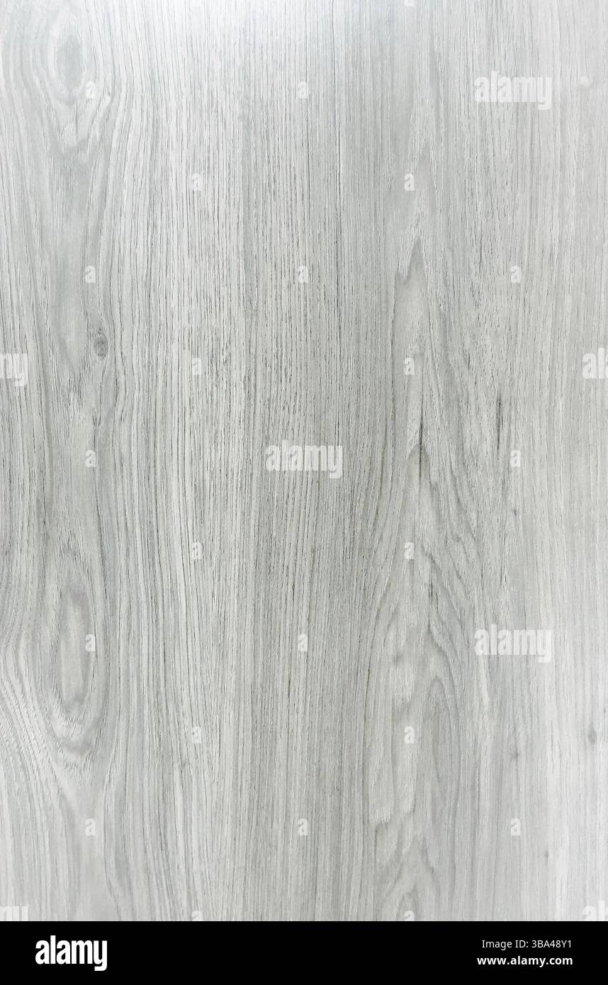 Hellweiß gewaschenes weiches Holz als Hintergrund. Grunge weiß getüncht lackierte Holzdielen Tischmuster von oben Stockfoto