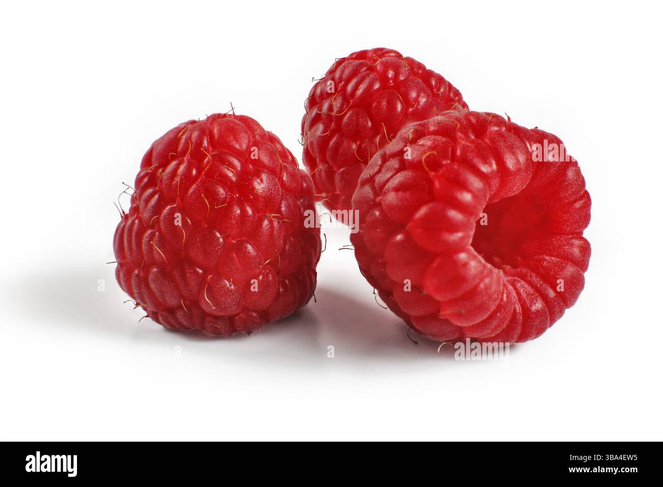 Drei Himbeeren auf weißem Hintergrund Stockfoto