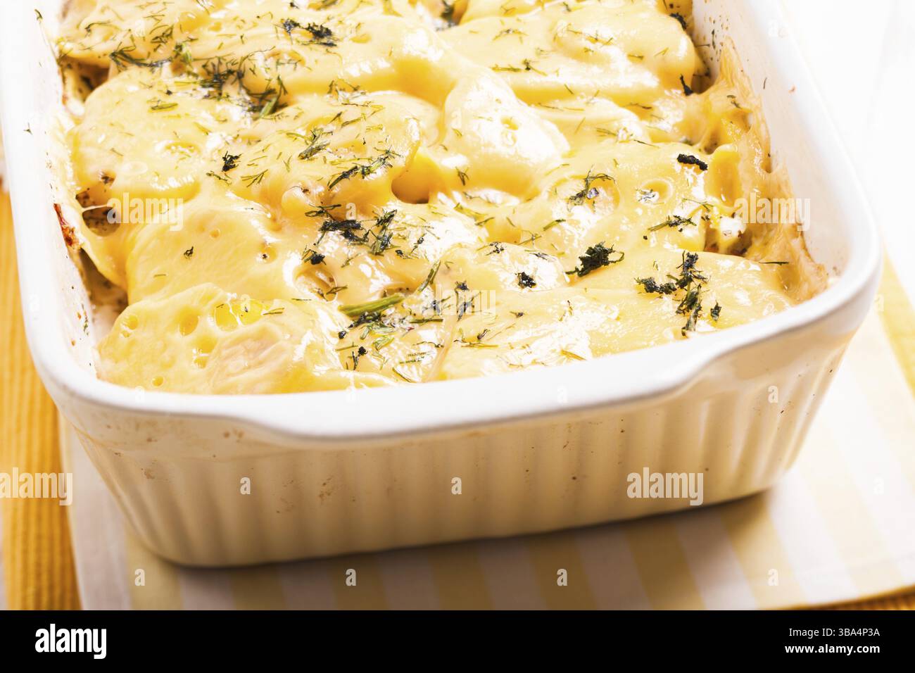 Der Kartoffelauflauf - mit Käse und Kräutern gebacken Stockfoto