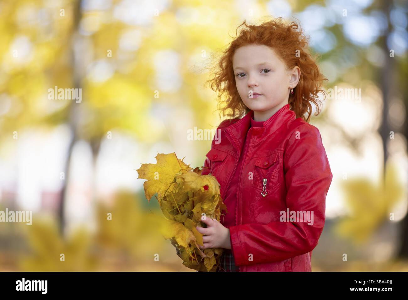 Schönes rothaariges Mädchen im Herbstpark mit einem Strauß aus Ahornblättern Stockfoto