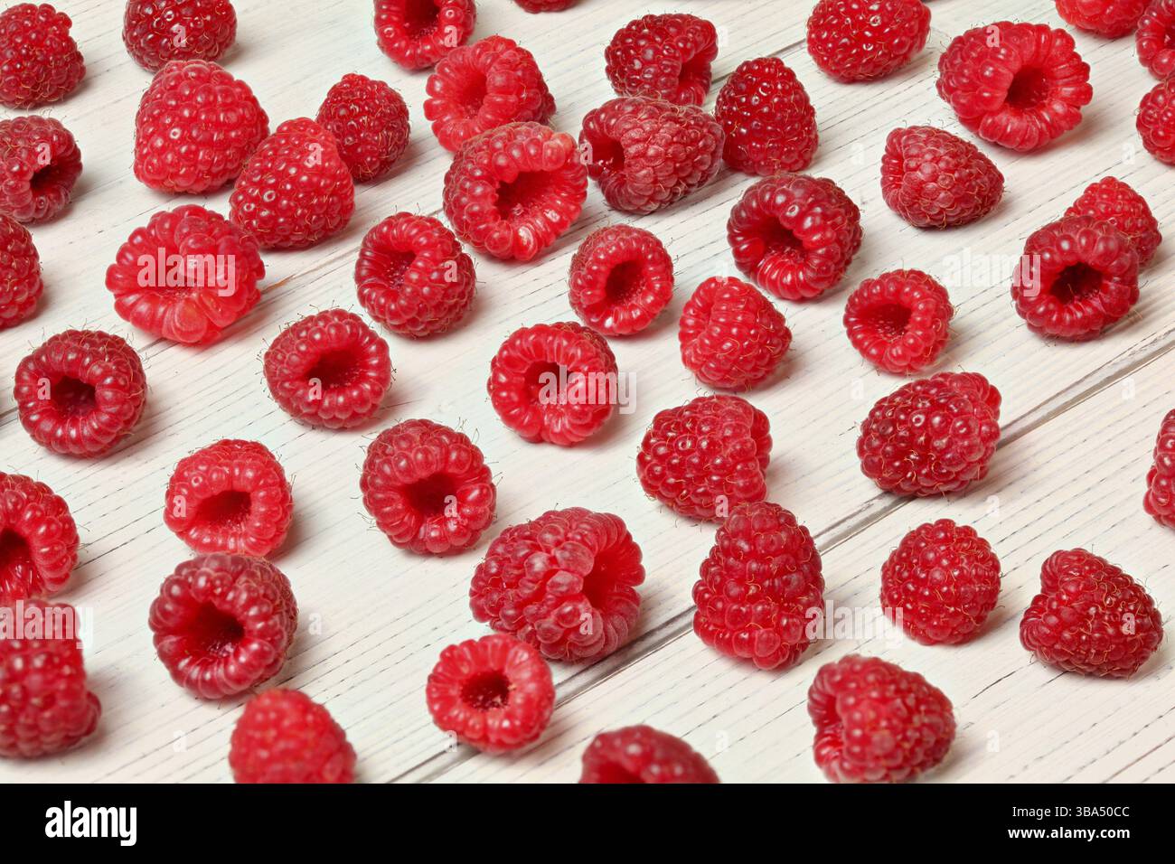 Himbeeren frisch aus dem Garten, verschüttet auf weißem Schreibtisch, Liptovsky Hradok, Slowakei, Europa Stockfoto