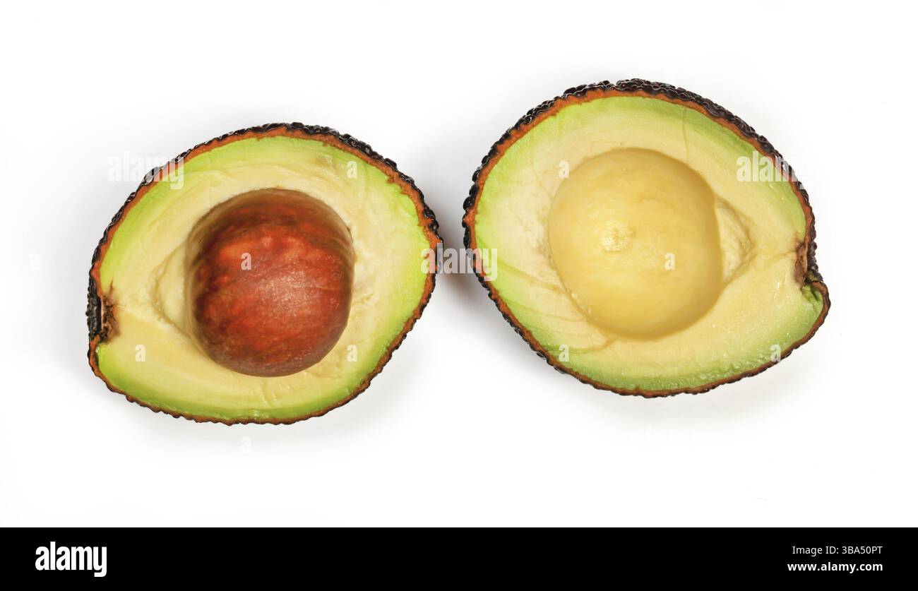 Reife Avocado (Sorte hass oder bilse) in Hälften geschnitten, mit gelbgrünem Fruchtfleisch, Samen in einer Hälfte, Ansicht von oben isoliert auf weißem Hintergrund, Li Stockfoto