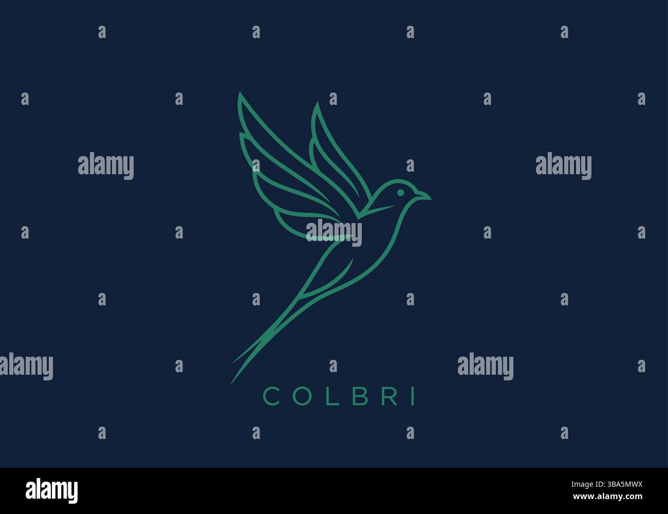 Colibri Bird Line Art Logo auf dunkelblauem Hintergrund Stock Vektor