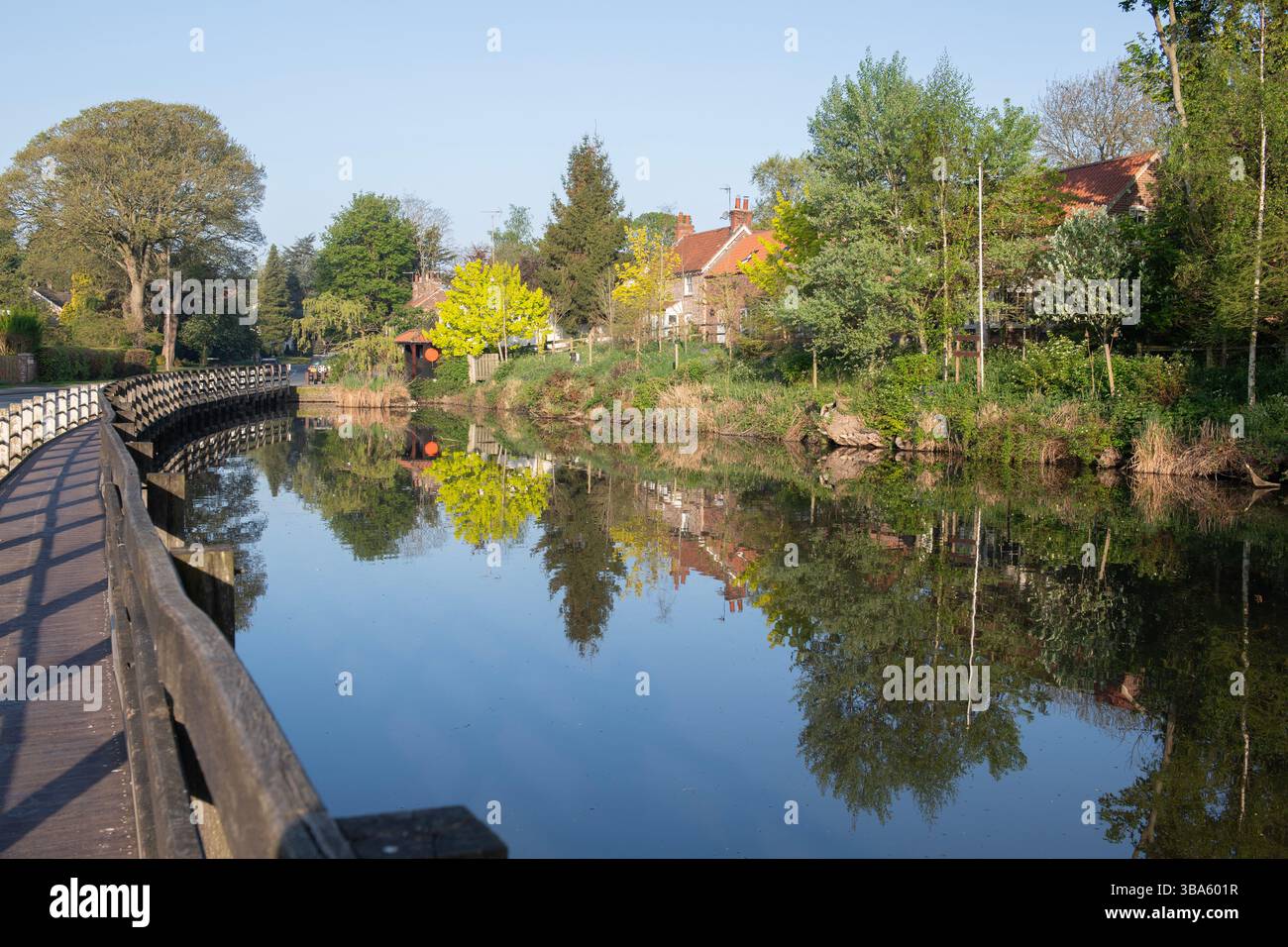 Walkington Pond Im Dorf Walkington, Beverley, East Yorkshire Stockfoto