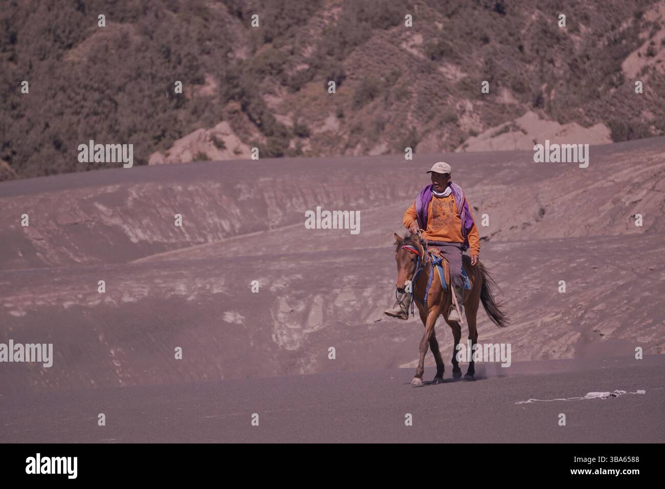 Reiterinnen und Reiter im National Bromo Park, die Reiterdienste für Besucher oder Touristen anbieten. Stockfoto