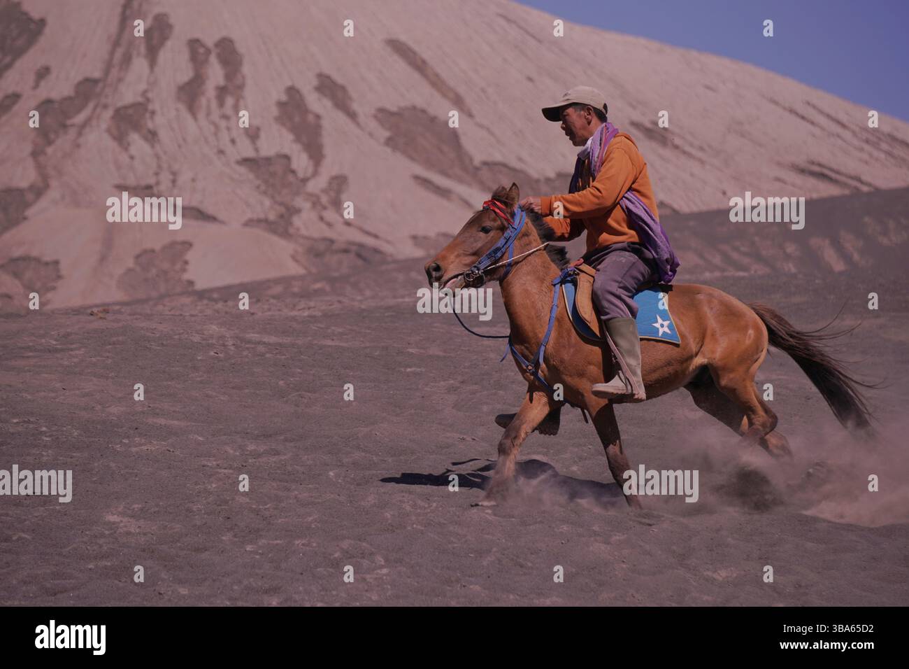 Reiterinnen und Reiter im National Bromo Park, die Reiterdienste für Besucher oder Touristen anbieten. Stockfoto