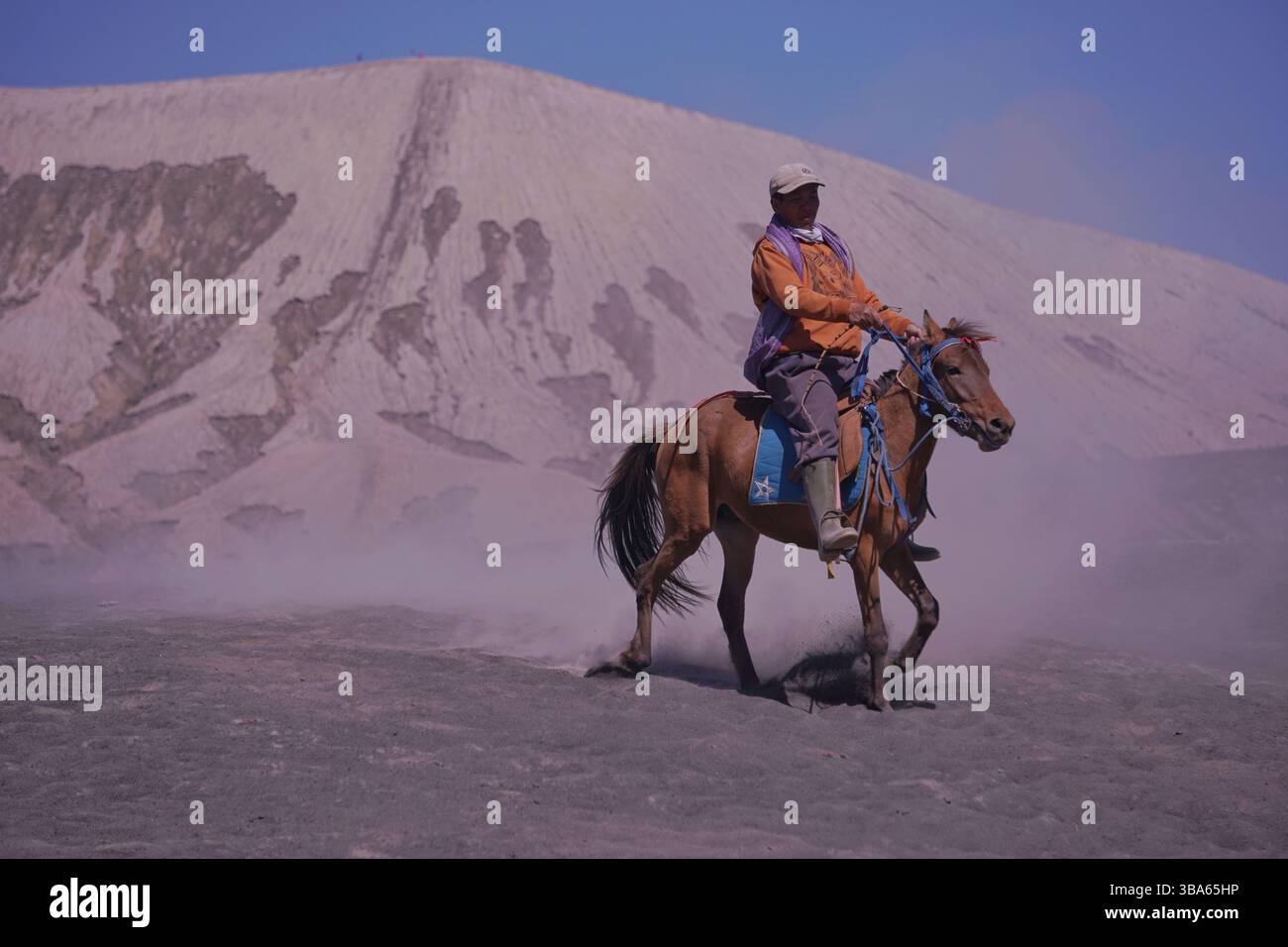 Reiterinnen und Reiter im National Bromo Park, die Reiterdienste für Besucher oder Touristen anbieten. Stockfoto