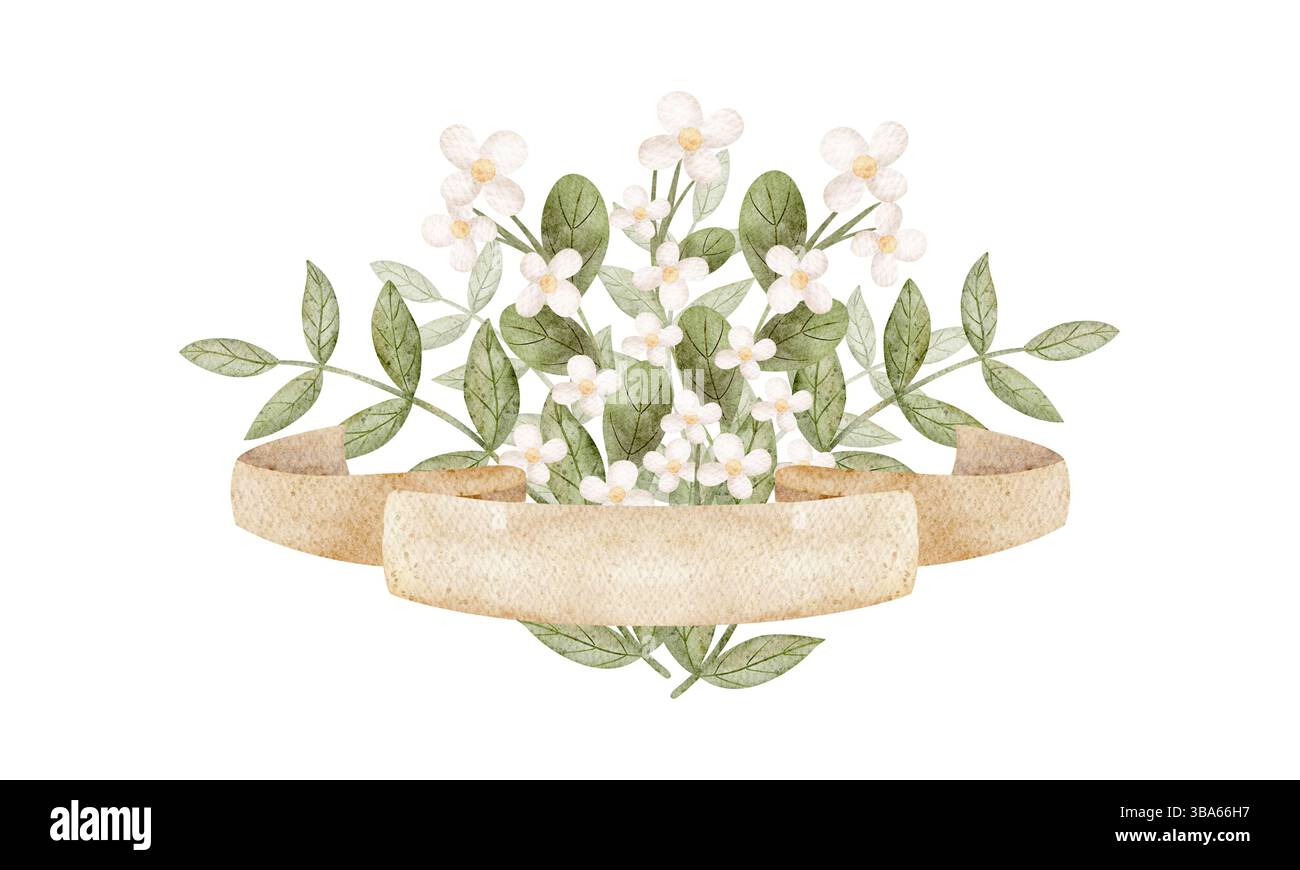 Aquarellillustration Blumenstrauß Blumen Feld Gänseblümchen weiß gerafft mit beigefarbenem Band. Handgezeichnete Komposition isoliert vom Hintergrund, mit Raum Stockfoto