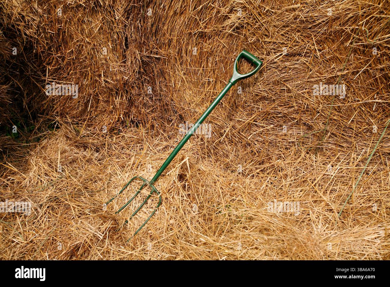 Eine Heugabel liegt in einem Heuhaufen. Stockfoto