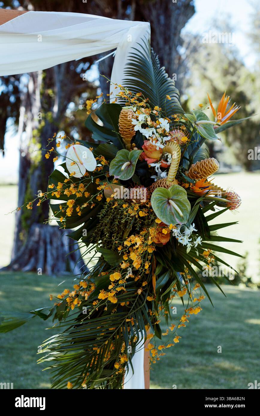 Herzstück des Palmblattes mit orchideenreihen Stockfoto