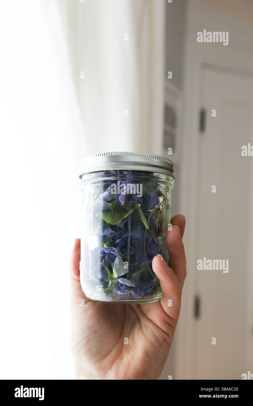 Glas mit blauvioletten Stiefmütterchen Stockfoto