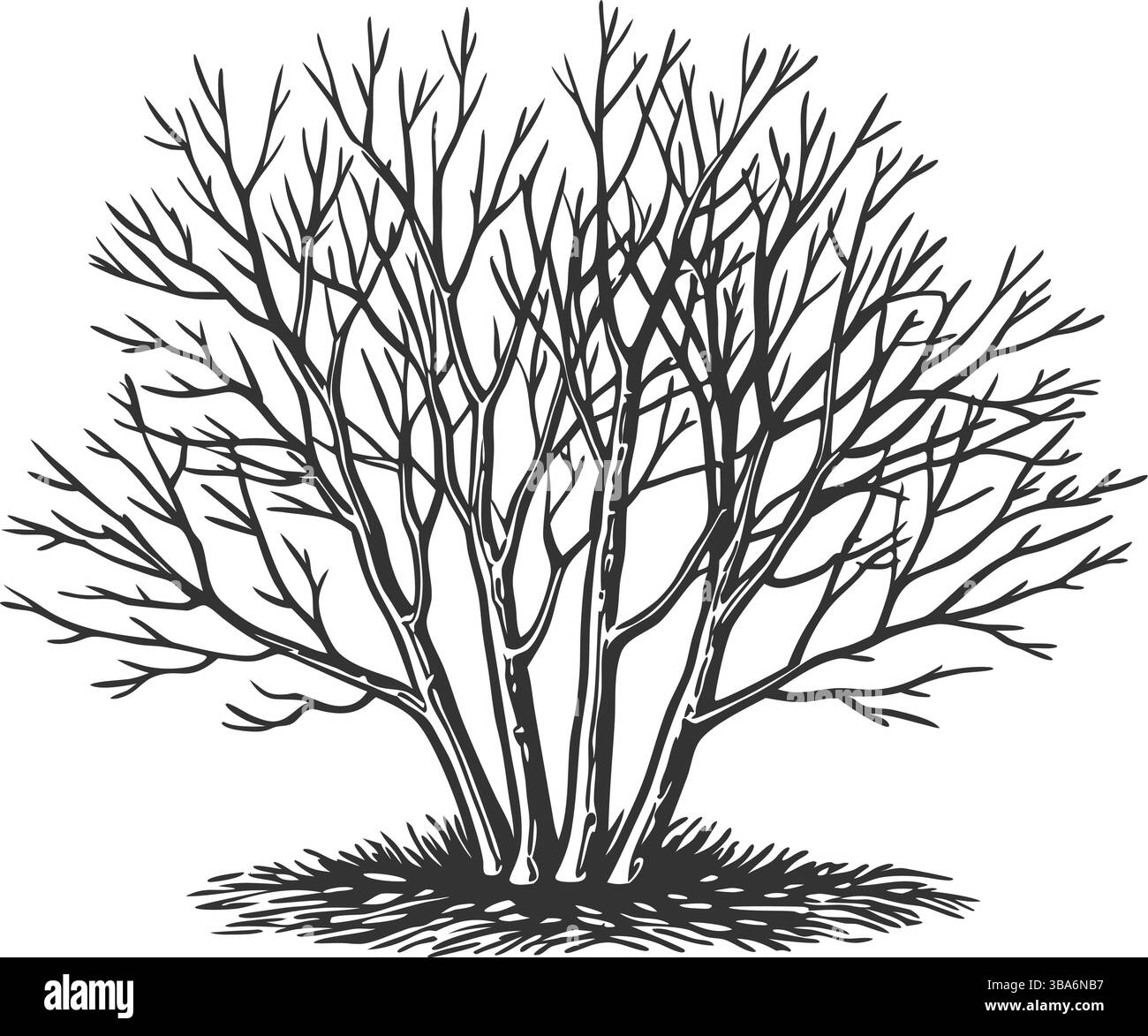 Elegante florale Vektor-Silhouetten mit komplizierten ornamentalen Designs, perfekt für Branding, Textilien, Tattoos und dekorative Drucke in kräftigem Schwarz und Stock Vektor