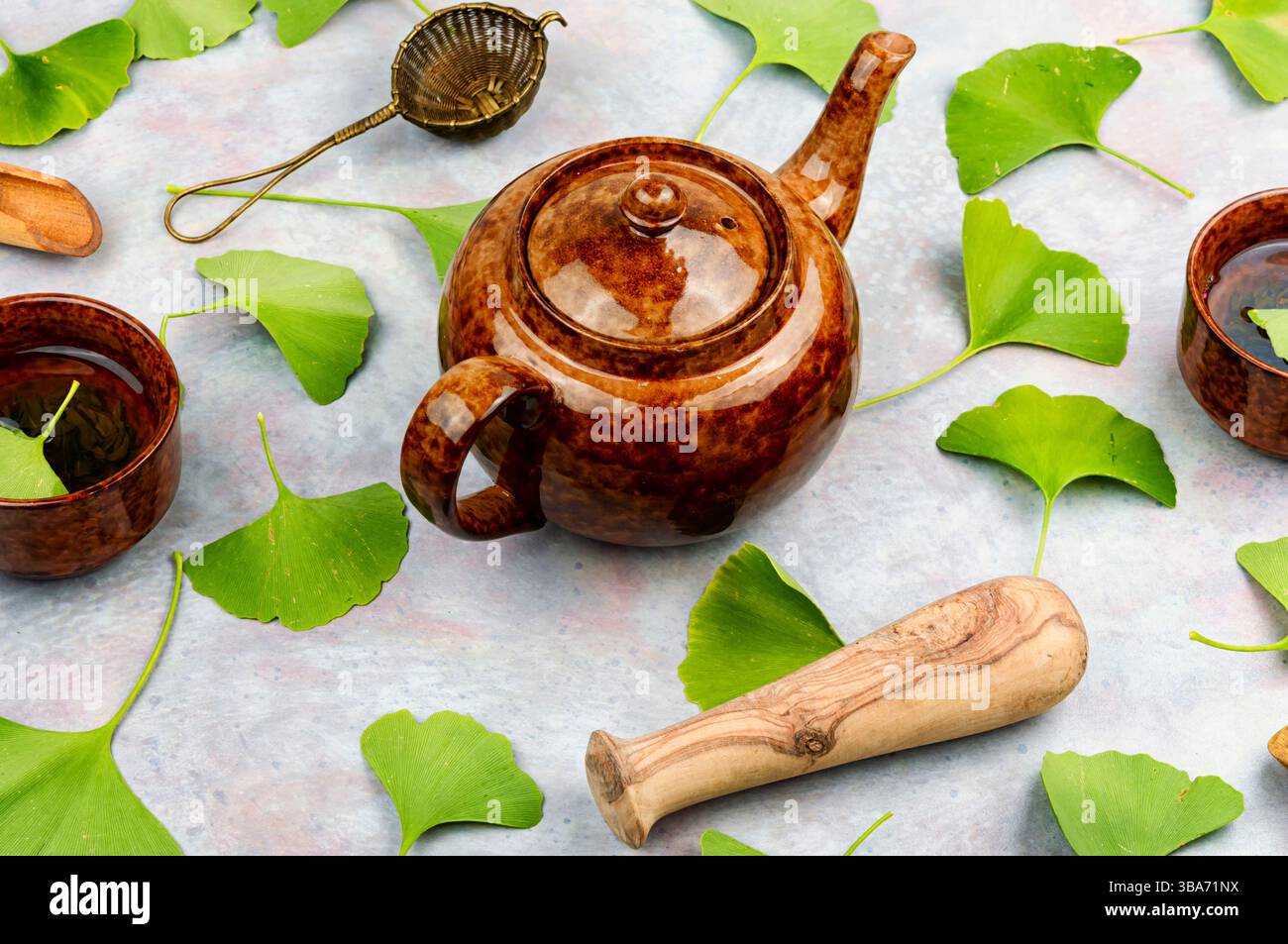 Aus dem Ginkgo mit Blättern herausziehen oder abstechen. Alternative pflanzliche Medizin. Stockfoto