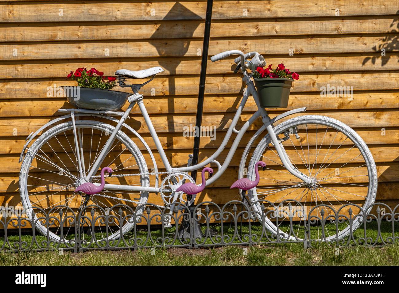 Ein weißes Fahrrad vor einem Hintergrund brauner Dielen in einem Garten mit hängenden Blumentöpfen Stockfoto