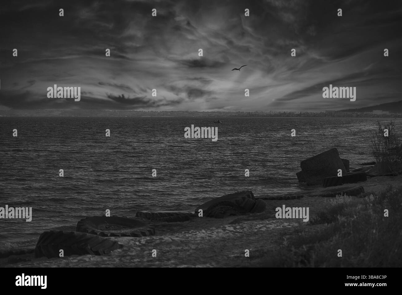 Schwarz-weiß düstere Landschaft des Meeres Stockfoto