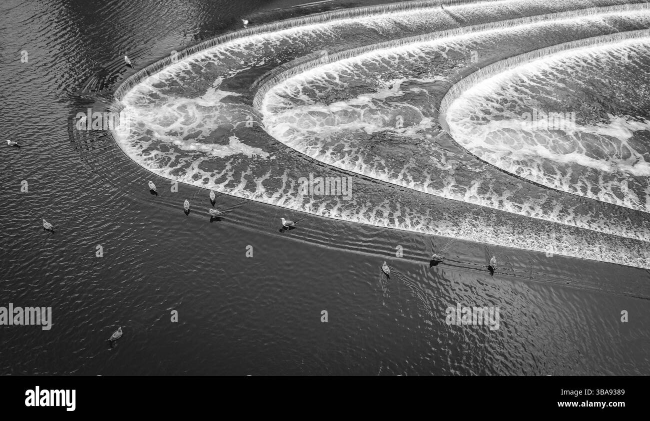 Gänse im Fluss avon mit einem Wasserfall im Bad, england Stockfoto