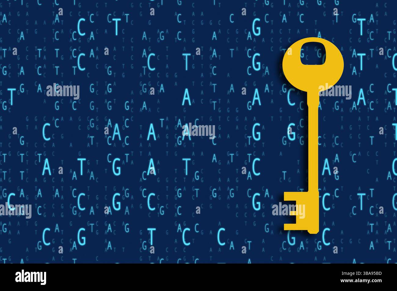 DNA-Sequenzen und ein Schlüsselkonzept für die Erforschung des menschlichen Genoms Stockfoto DNA-Sequenzen und ein Schlüsselkonzept für die Erforschung des menschlichen Genoms Stockfoto