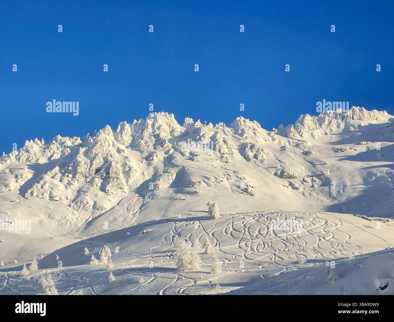 Sanfte alpine Hänge bieten glatte Kurven und schattige Grate unter starkem Sonnenlicht im hohen Gelände von Peisey-Nancroix. Stockfoto