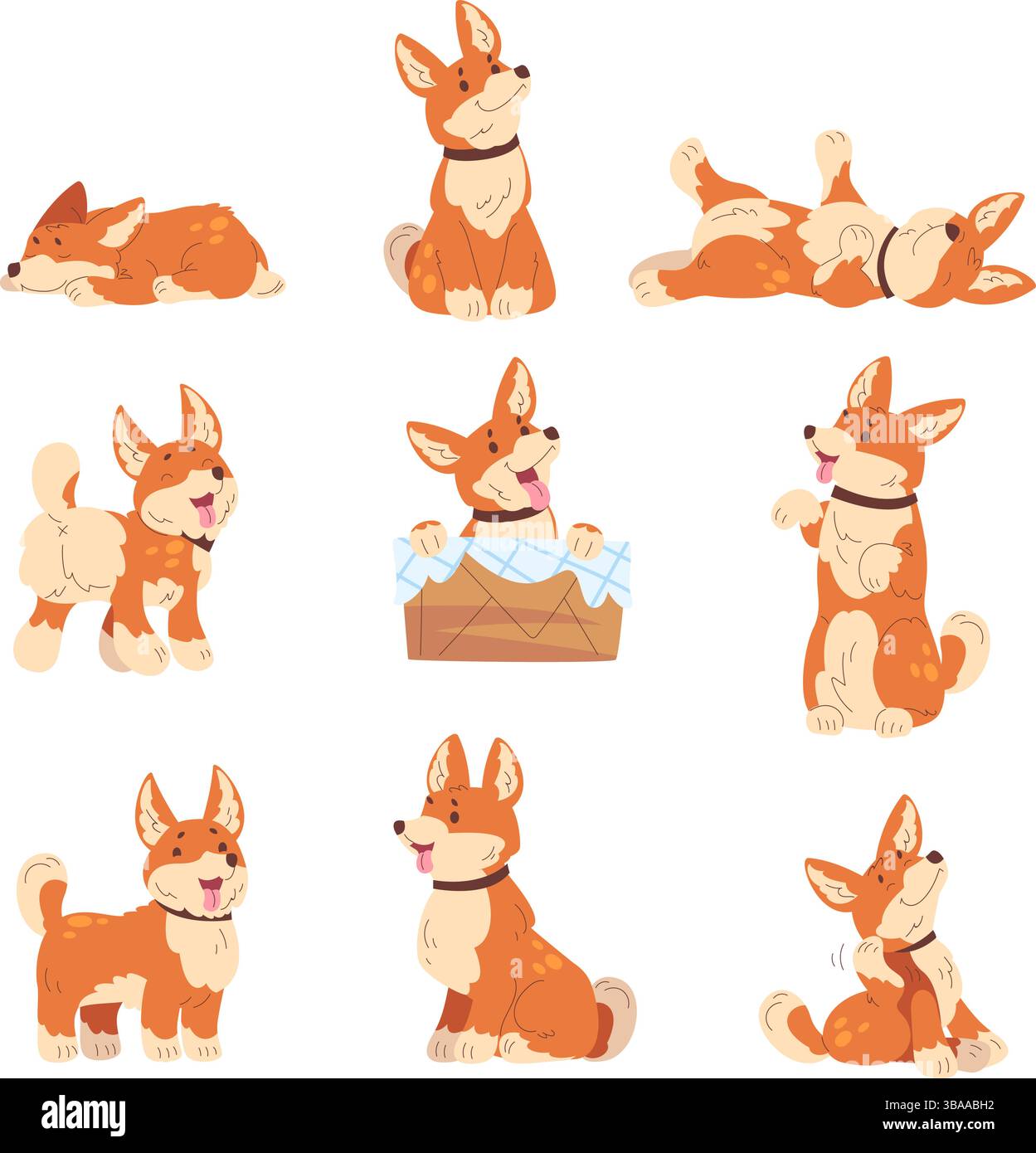 Corgi posiert. Cartoon walisischer Welpe niedlicher Hund, entzückender Hund kleines Haustier Hundestellung Schlaf sitzend spielend glücklicher Ausdruck Kind Haustier Set, klassische Vektor Illustration Original Artwork Stock Vektor