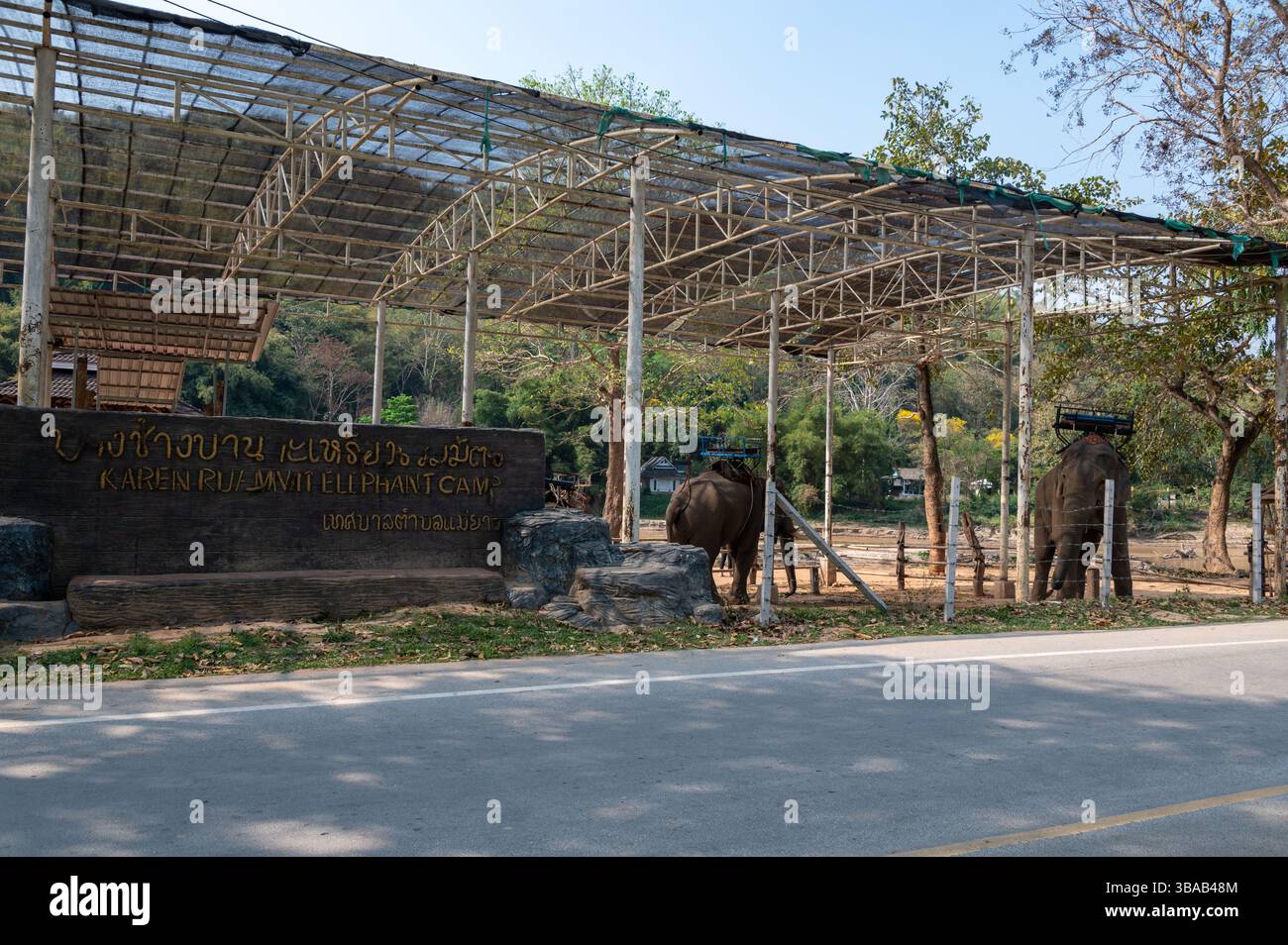 Das Elefantenlager Karen Ruammit Elefantenpflegezentrum in der Nähe von Ban Ruammit, einem christlichen Karen-Dorf am Mae Kok River im Norden Thailands, dem Ka Stockfoto