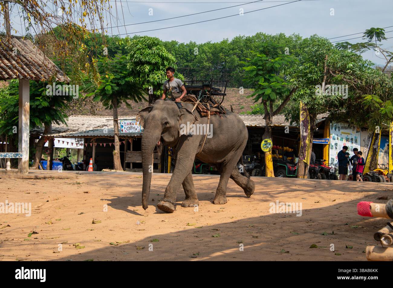 Ein Mahmout (Elefantenführer/Trainer/Pfleger) kommt mit seinem Elefanten im Elefantenlager Karen Ruammit Elefantenpflegezentrum nahe Ban Ruammit, einem Chris Stockfoto