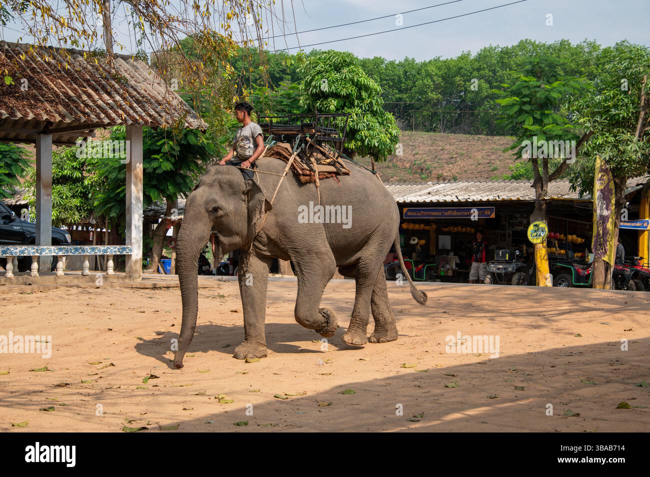 Ein Mahmout (Elefantenführer/Trainer/Pfleger) kommt mit seinem Elefanten im Elefantenlager Karen Ruammit Elefantenpflegezentrum nahe Ban Ruammit, einem Chris Stockfoto