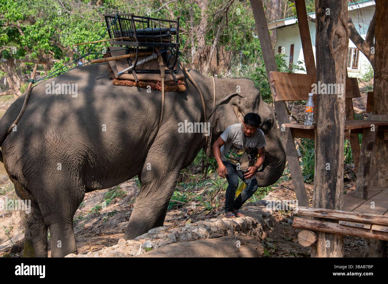 Ein Mahmout (Elefantenführer/Trainer/Pfleger) steigt im Elefantenlager Karen Ruammit Elefantenpflegezentrum in der Nähe von Ban Ruammit, einer Christia, ab Stockfoto