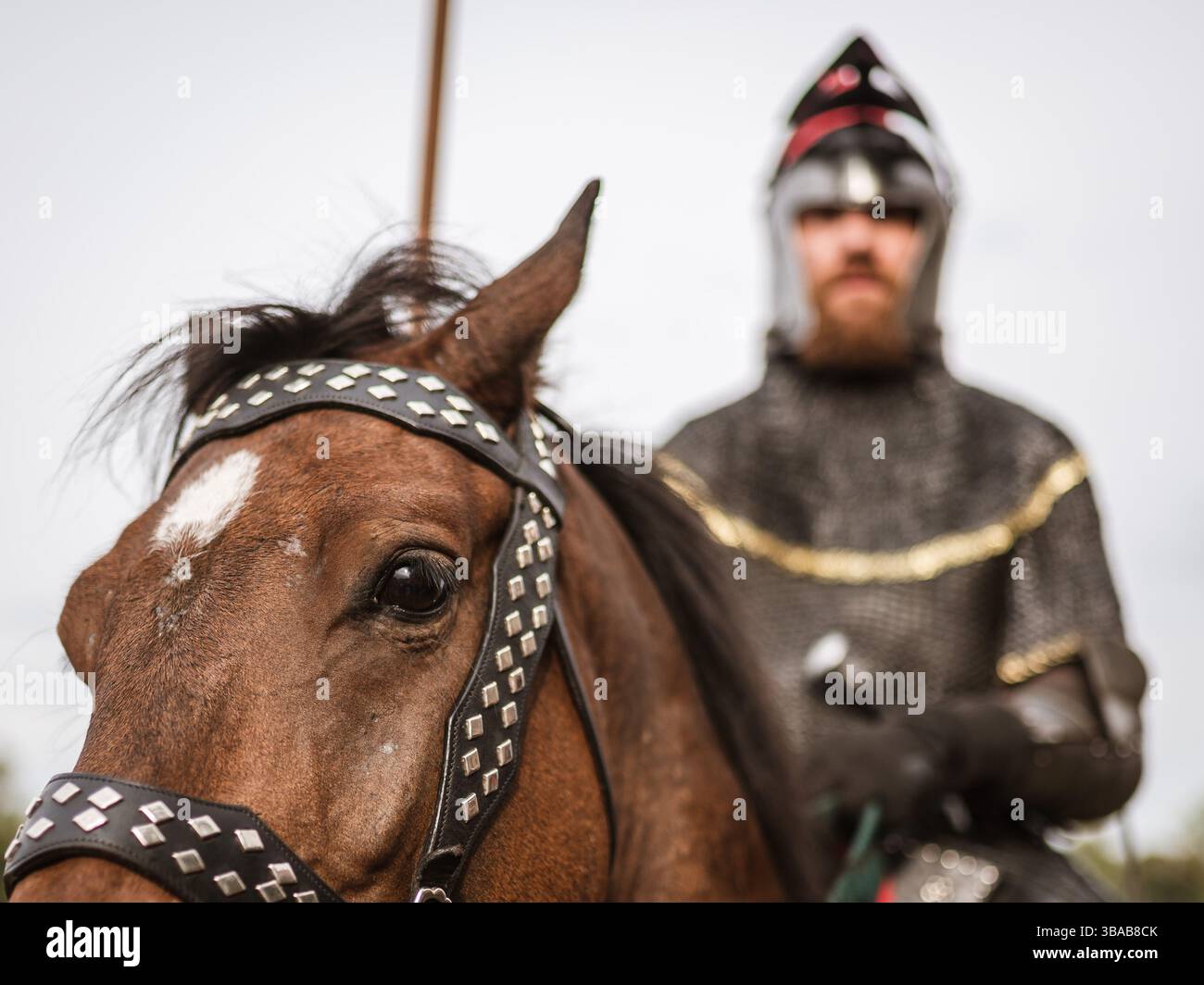 Ritter auf dem Pferd. Stockfoto
