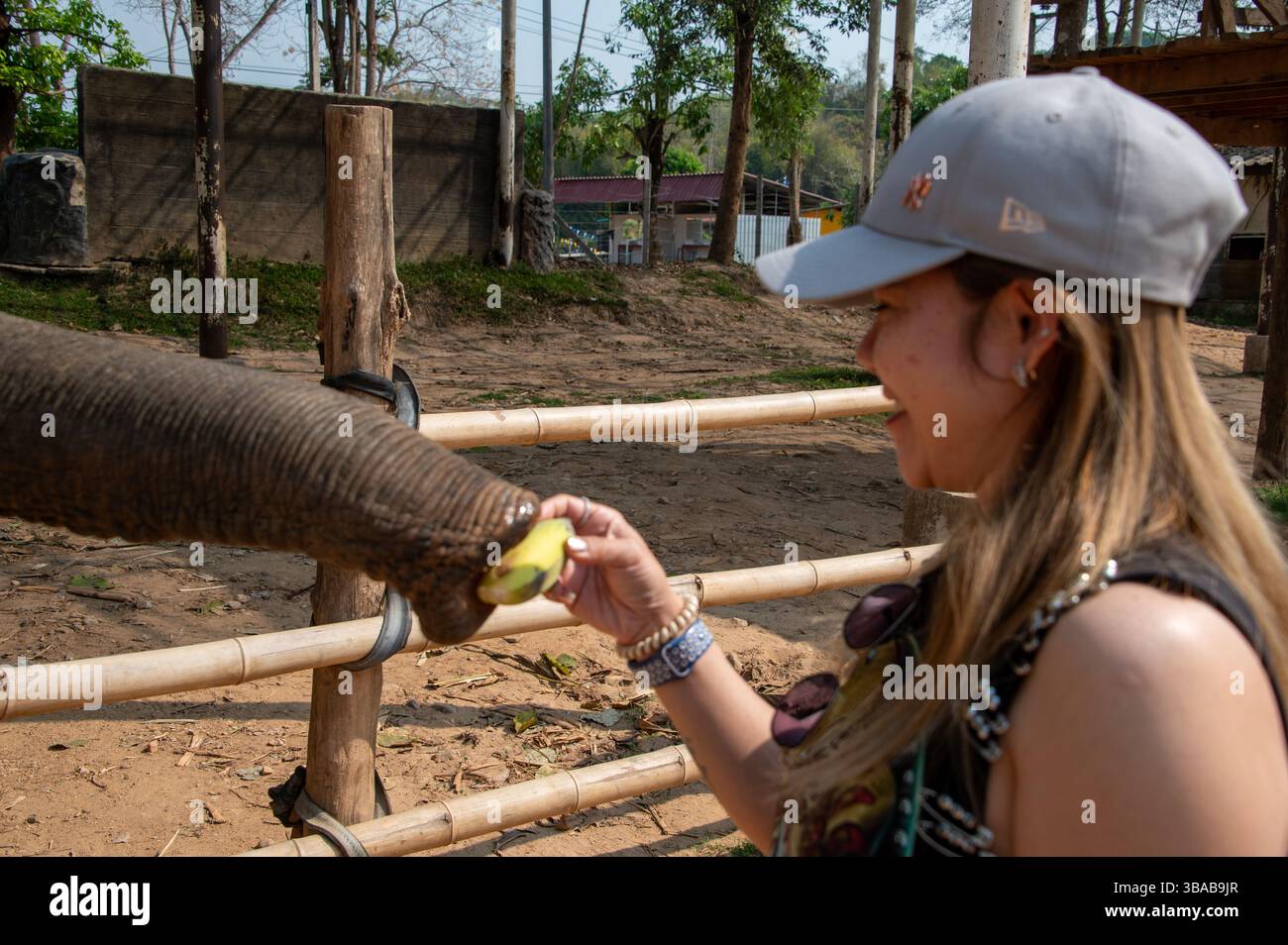 Ein junger thailändischer Tourist ernährt Bananen im Elephant Camp Karen Ruammit Elephant Care Center in der Nähe von Ban Ruammit, einem christlichen Karen Dorf, entlang der Mae K Stockfoto
